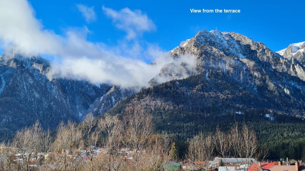 Cozy Riverfront Apartments With Garden And Mountain View Buşteni Extérieur photo