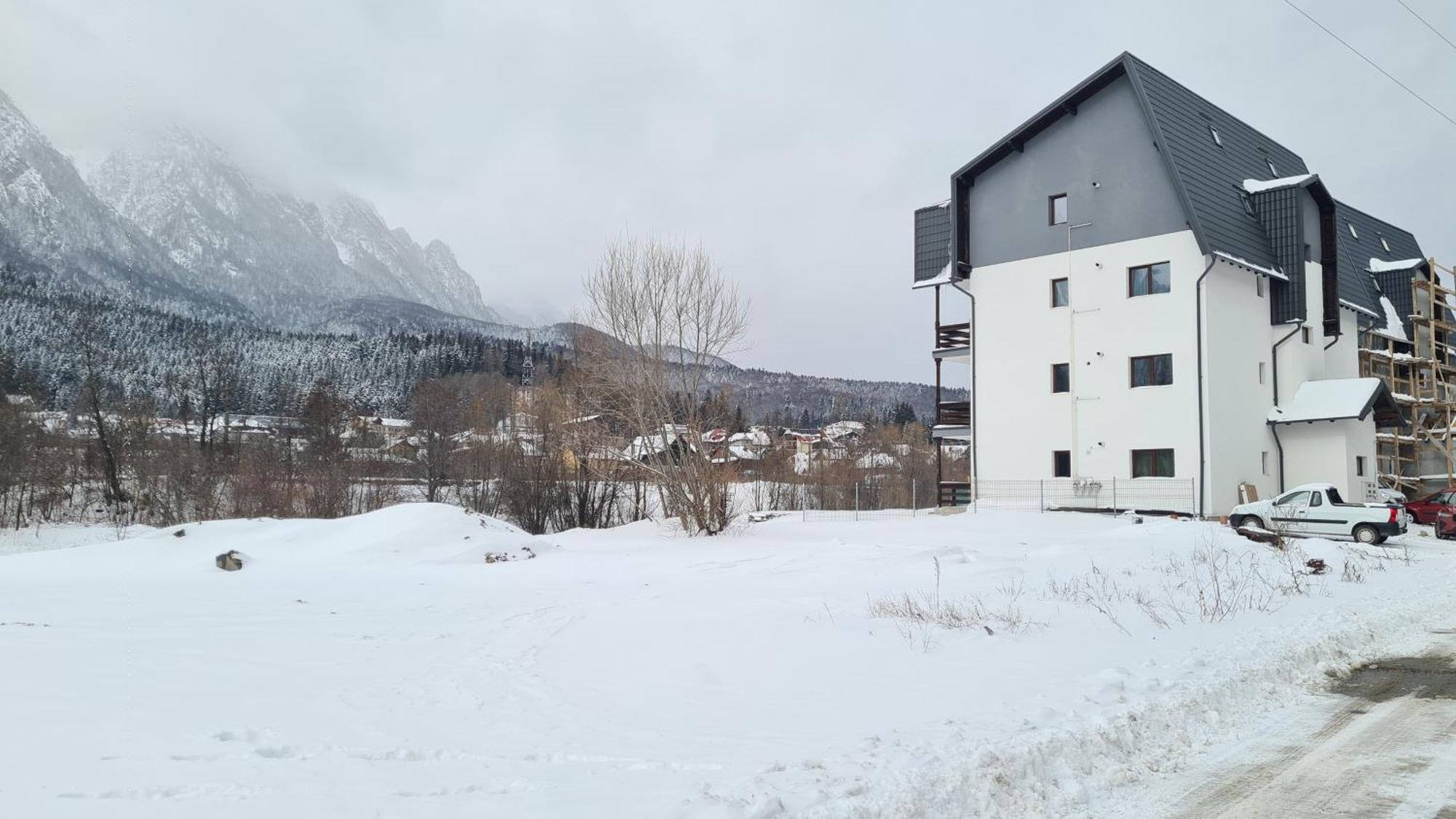 Cozy Riverfront Apartments With Garden And Mountain View Buşteni Extérieur photo