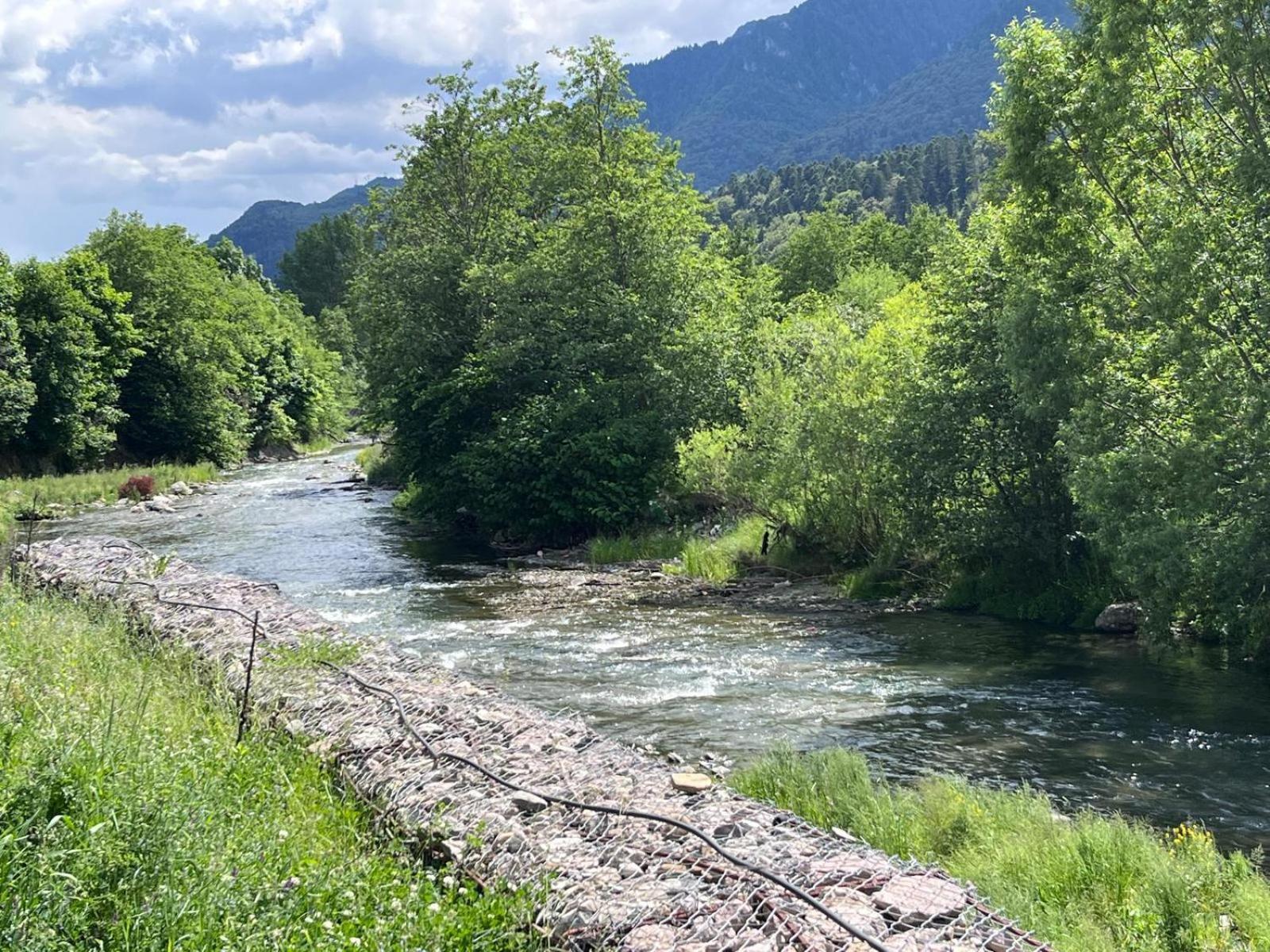 Cozy Riverfront Apartments With Garden And Mountain View Buşteni Extérieur photo